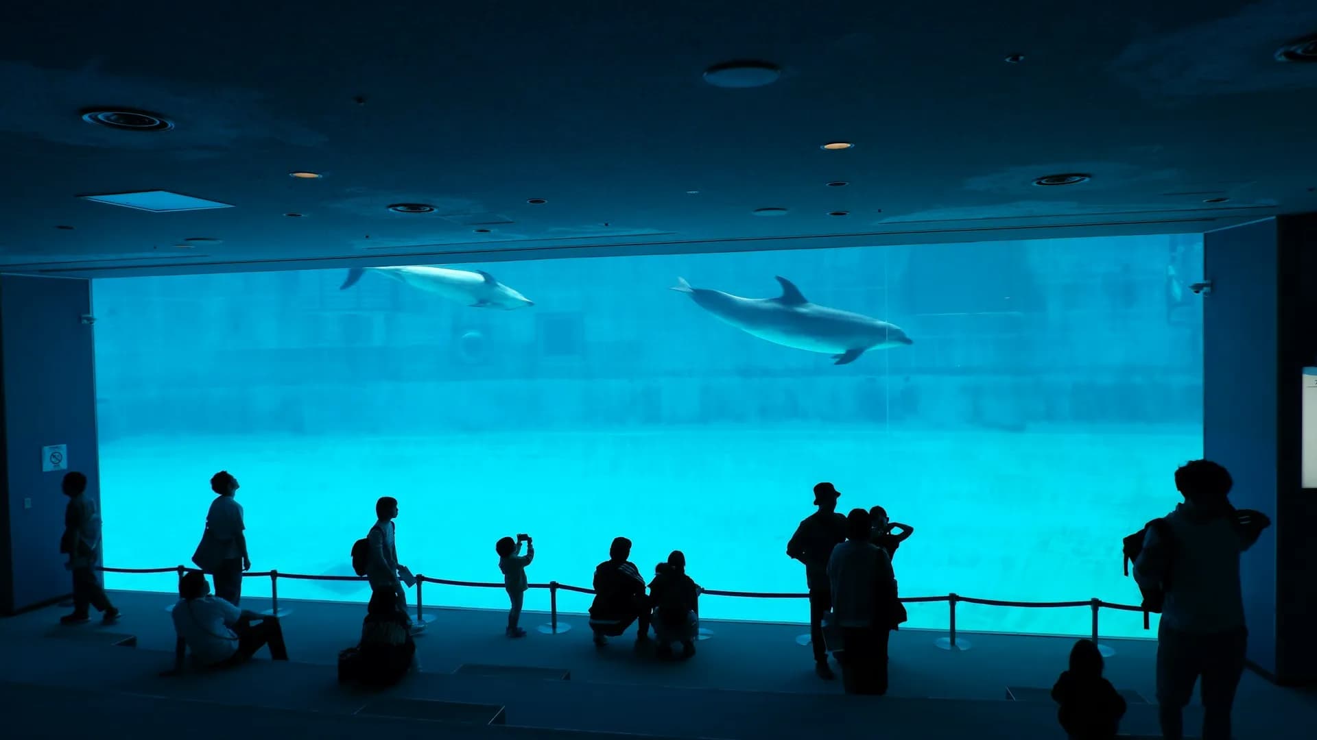 Recommended Day Trips Near Nagoya