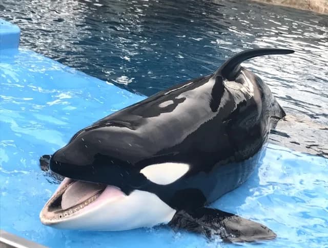Nagoya Port Aquarium