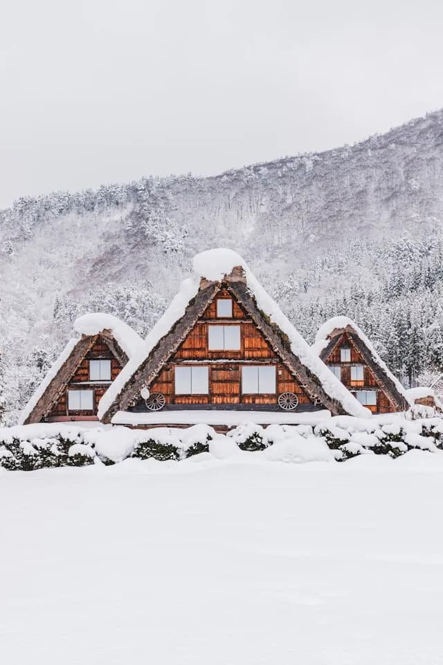 Shirakawa-go Three Houses