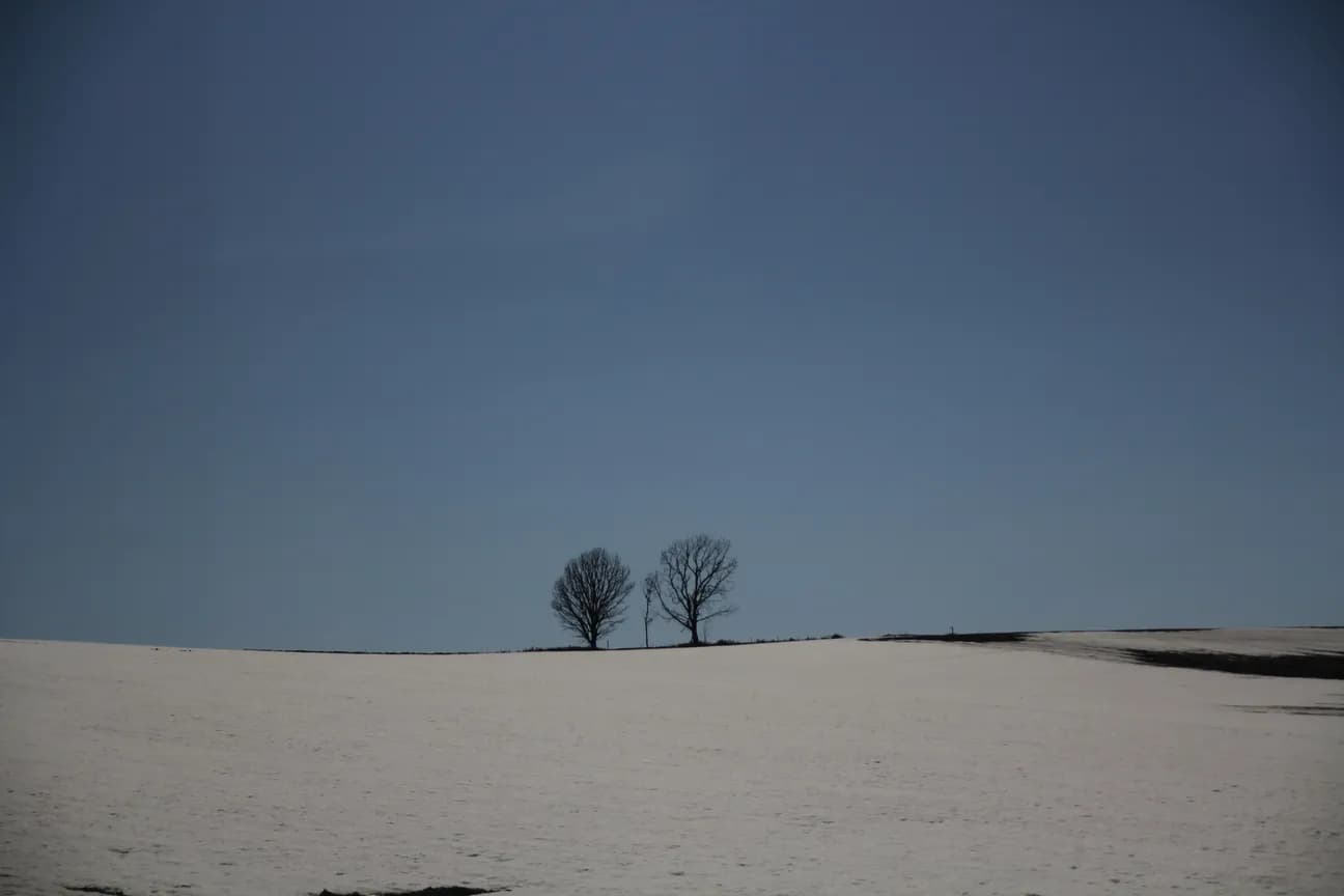 Oyako (Parent-and-child) Tree