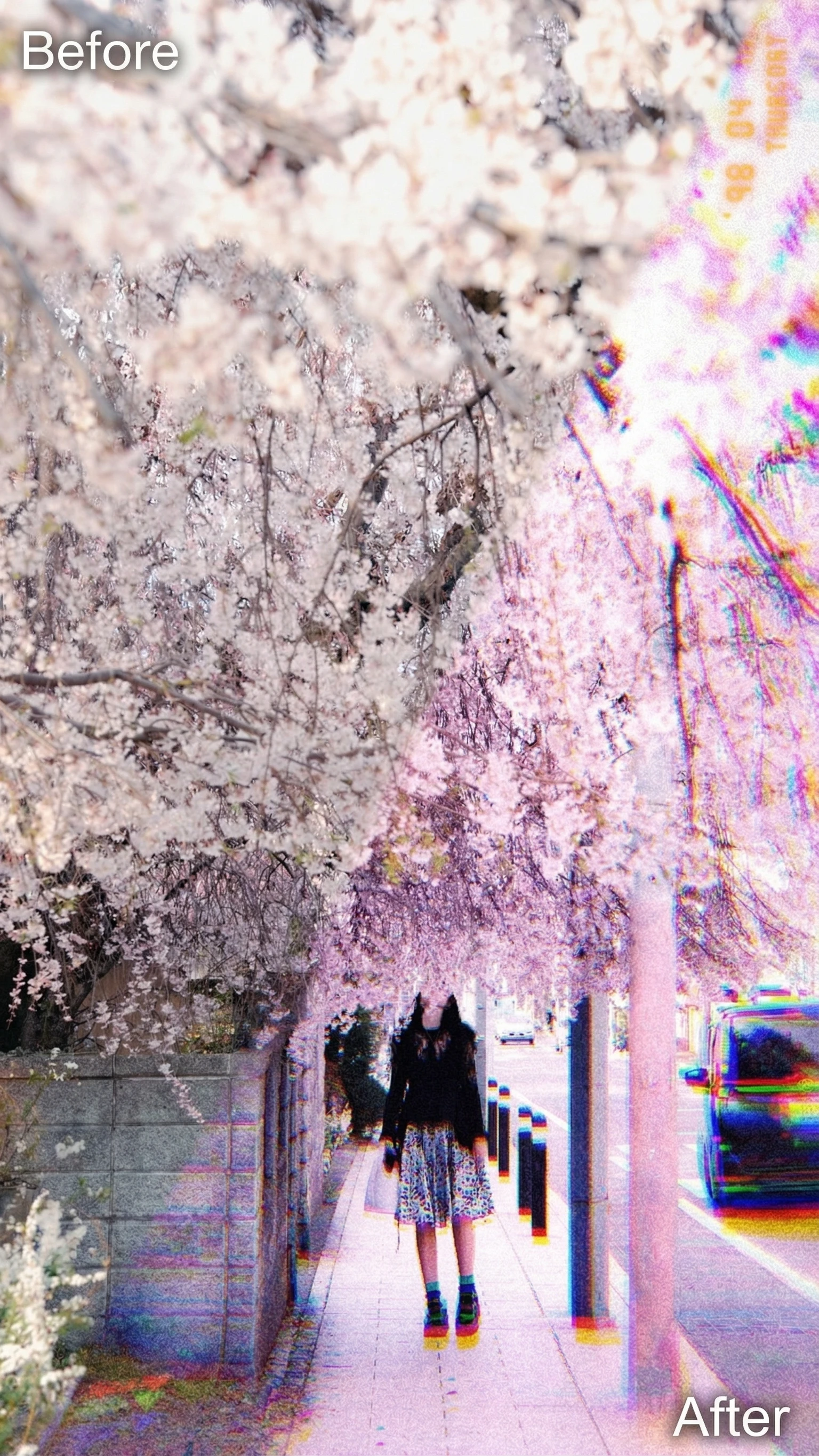 Japanese Aesthetic Camera